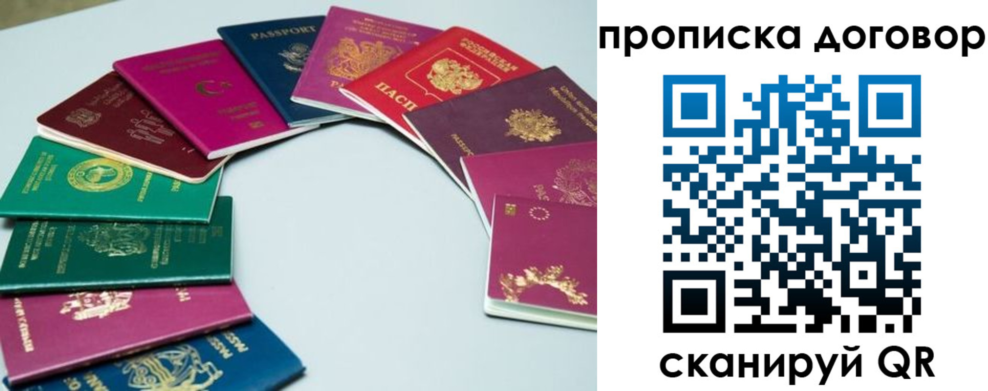 пропишу в квартире в Рязанской области